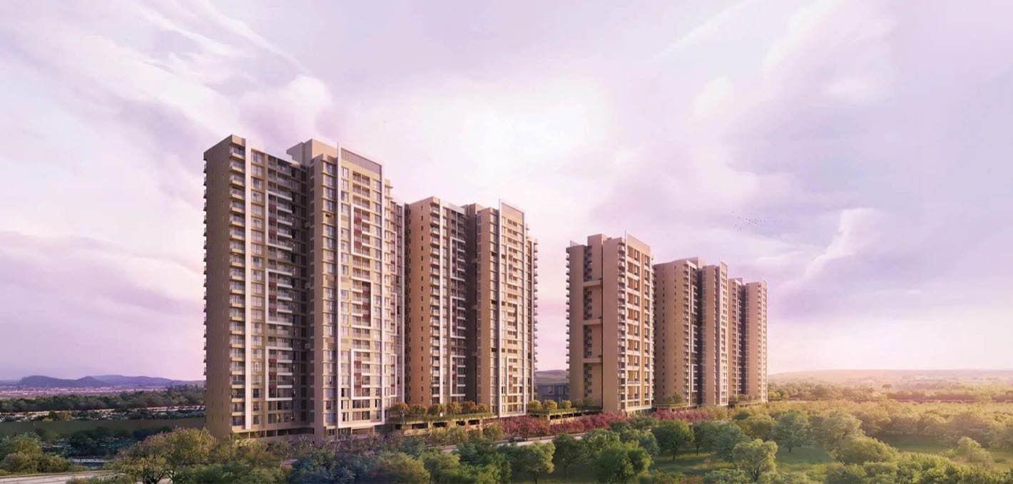 The estate